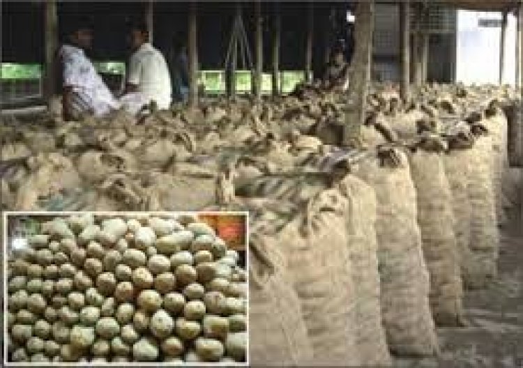 দুই দিনে বস্তা প্রতি আলুর দাম বেড়েছে ১০০ টাকা