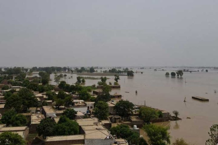 পাকিস্তানে ফের ভয়াবহ বন্যা, নিহত ১৭৫