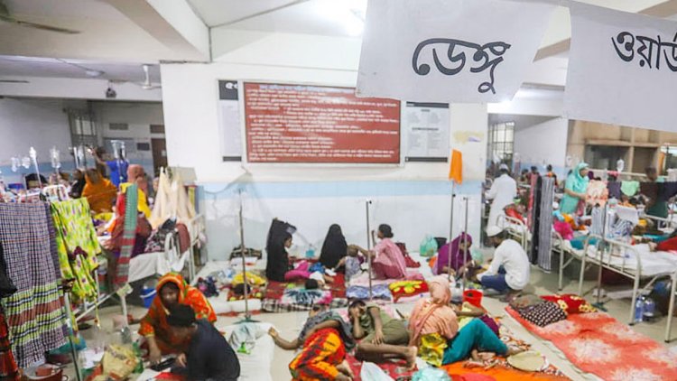  ডেঙ্গুতে ১৪ জনের মৃত্যু, হাসপাতালে ভর্তি ১৫৯৪