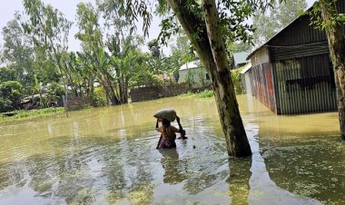 জামালপুরে পানিবন্দি ৭ হাজার পরিবার, গোখাদ্য-বিশুদ্ধ পানির সংকট