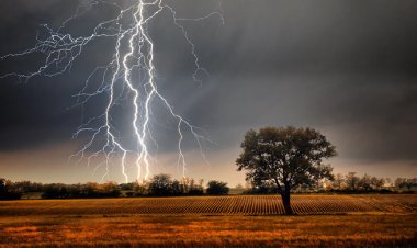 ওড়িষ্যায় বজ্রপাতে ১০ জনের মৃত্যু