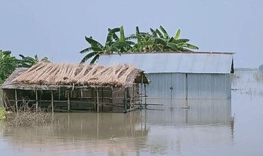 টাঙ্গাইলে পানিবন্দি  ২০ হাজার মানুষ