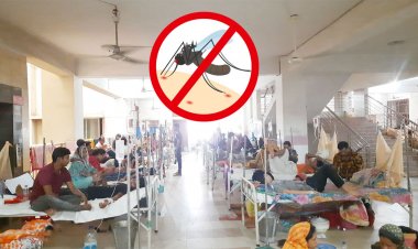 ডেঙ্গুতে ১৬ জনের মৃত্যু, হাসপাতালে ২৬০৮
