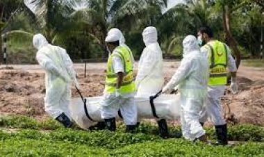  বরিশালে ২৪ ঘণ্টায় ৩ জনের মৃত্যু, নতুন আক্রান্ত ৩৫৭