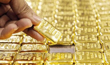 সোনা চুরি: কাস্টমসের ৪ সিপাহিকে বিমানবন্দর থানায় জিজ্ঞাসাবাদ