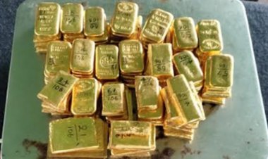 বাংলাদেশ থেকে পাচার, পশ্চিমবঙ্গে ১৪ কেজি স্বর্ণসহ গ্রেফতার ২