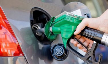 উৎপাদন কমাতে একমত সৌদি আরব ও রাশিয়া, বাড়ল তেলের দাম