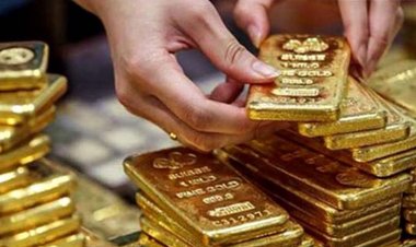 ৫৫ কেজি সোনা গায়েবের মামলা ডিবিতে হস্তান্তর