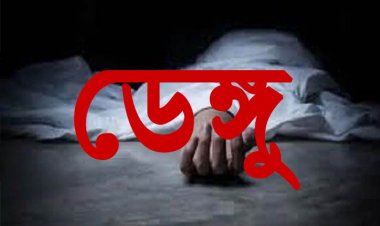  ফরিদপুরে ডেঙ্গুতে ২ জনের মৃত্যু, নতুন আক্রান্ত ১৭৮