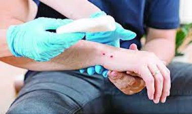  মোবাইলে কথা বলার সময় সাপে কামড়, হাসপাতালে নেওয়ার পথে মৃত্যু