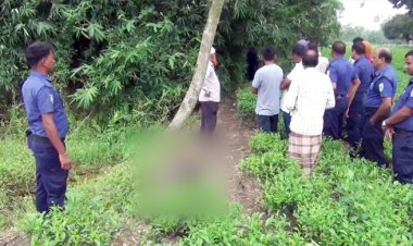 পঞ্চগড় সীমান্তে বাংলাদেশির গুলিবিদ্ধ মরদেহ উদ্ধার