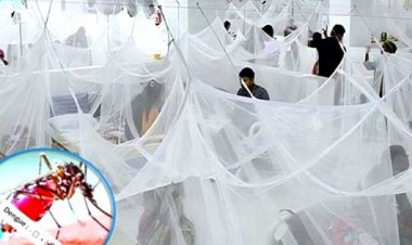 স্মরণকালের সবচেয়ে ভয়াবহ ডেঙ্গুর কবলে বাংলাদেশ: ডব্লিউএইচও