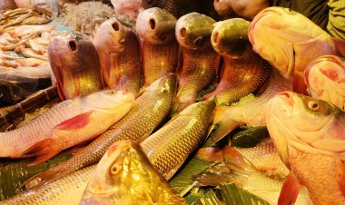 মাছের দামে আগুন, ডিমের ডজন ১৫০