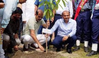  প্রতিটি বাড়িতে গাছ লাগানোর আহ্বান মেয়র আতিকের