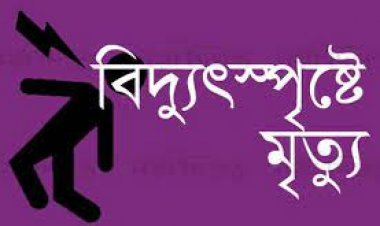  বিদ্যুতের তারে ঝুলছিল রংমিস্ত্রির মরদেহ