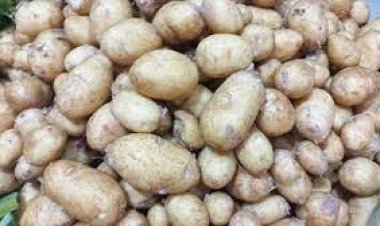 আলু নিয়েও কারসাজি