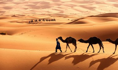 আফ্রিকার মরুভূমির নীচে পানির বিশাল ভাণ্ডার