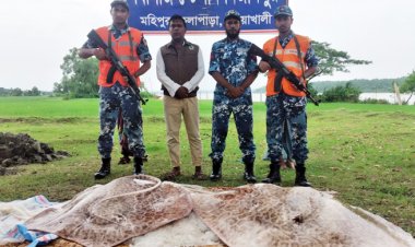 ১২ লাখ টাকার নিষিদ্ধ শাপলা পাতা মাছ জব্দ