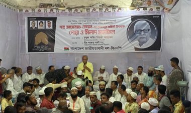 সরকার গণতন্ত্রের কোনো মানদন্ড মানেনা: রিজভী
