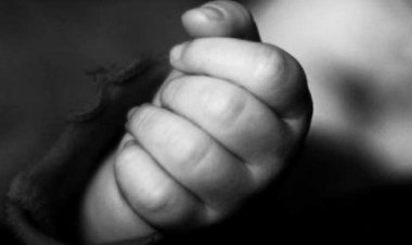 কালিয়াকৈরে অটোরিকশার চাপায় প্রাণ গেল শিশুর