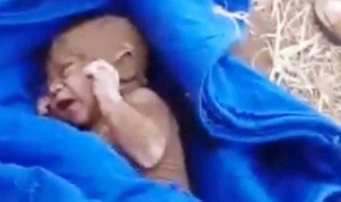  লিবিয়া : ৪ দিন পর ধ্বংসস্তূপ থেকে জীবিত উদ্ধার নবজাতক