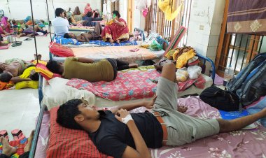  ফরিদপুরে ডেঙ্গুতে ৩ জনের মৃত্যু, এক দিনে হাসপাতালে ভর্তি ২৬৮