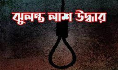 মা-মেয়ের ঝুলন্ত লাশ উদ্ধার