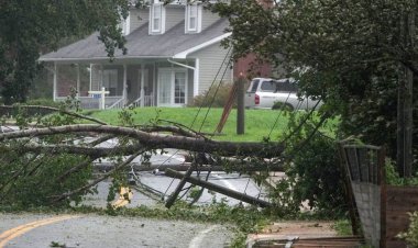 কানাডায় লির আঘাতে ভেঙে পড়েছে বহু গাছ, লাখো মানুষ বিদ্যুৎবিচ্ছিন্ন