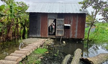 ঘরে মশা বাইরে জমেছে পানি, শিশুদের নিয়ে শঙ্কায় বাবা-মা