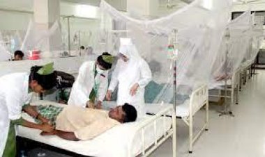  বরিশালে ডেঙ্গুতে প্রাণ গেলো আরও ৩ জনের