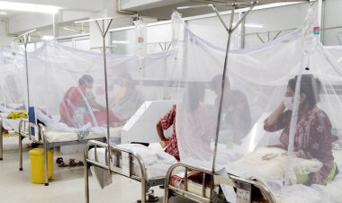 ডেঙ্গুতে একদিনে রেকর্ড ৩১২২ রোগী হাসপাতালে ভর্তি, ১৮ জনের প্রাণহানি