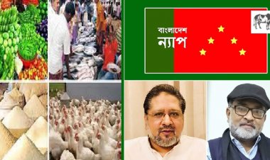 সরকার নিজেই সিন্ডিকেটের হাতে বন্দি : ন্যাপ