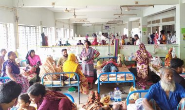  ফরিদপুরে দুইমাসে ডেঙ্গুতে ৩০ জনের মৃত্যু, ৬৪ শতাংশই নারী