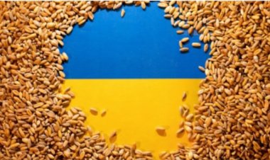 কৃষি নিষেধাজ্ঞা: ইউরোপের ৩ দেশের বিরুদ্ধে মামলার ঘোষণা ইউক্রেনের