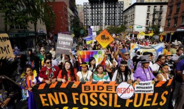 ৫৪ দেশে ৫০০-এর বেশি বিক্ষোভের পরিকল্পনা দ্য ক্লাইমেট গ্রুপের