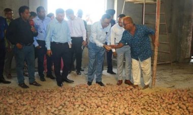 আলুর সিন্ডিকেটকে আল্টিমেটাম ভোক্তা অধিদপ্তরের