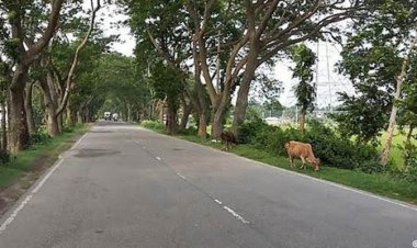 ২৪৩ কোটি টাকায় হবে দুই আঞ্চলিক মহাসড়কের সংস্কার