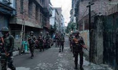 ভারতের মণিপুরে মাঠে মাঠে বাংকার