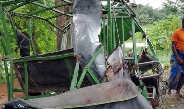 কুষ্টিয়ায় বাসের ধাক্কায় প্রাণ গেলো ইজিবাইকের যাত্রী দুই ভাইরার! 