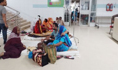  মানিকগঞ্জে বেড়েই চলেছে ডেঙ্গু রোগী, হাসপাতালে ভর্তি ৪৯৯ 