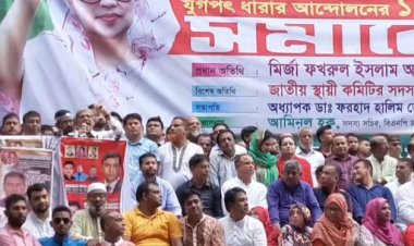 রাস্তায় নেমেছি, শেখ হাসিনার অধীনে কোন নির্বাচন হবে না: মির্জা ফখরুল