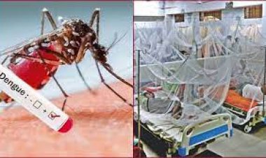ডেঙ্গুতে একদিনে ২১৫৩ রোগী হাসপাতালে ভর্তি, ৪ জনের মৃত্যু