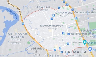 মোহাম্মদপুরে অটোরিকশা-ট্রাক সংঘর্ষে নিহত ১, আহত ৫