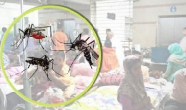  ফরিদপুরে ডেঙ্গুতে ৪ জনের মৃত্যু, হাসপাতালে ভর্তি ৩০৯