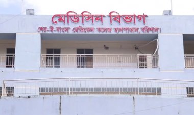  বরিশালে ডেঙ্গুতে আরও দুজনের মৃত্যু, শনাক্ত ৪৬৯