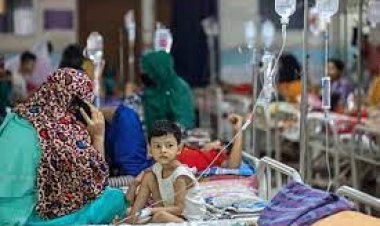 ডেঙ্গু আরও ১৪ প্রাণ কেড়ে নিল