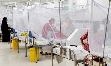  বরিশালে ডেঙ্গুতে আরও ৫ জনের মৃত্যু, হাসপাতালে ভর্তি ৪৭৭