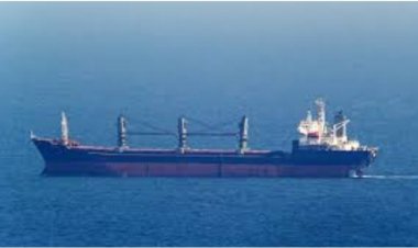 তুরস্কে পৌঁছালো ইউক্রেনের গমের দ্বিতীয় চালান