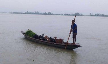তিস্তায় বাড়ছে পানি, খুলে দেওয়া হয়েছে ৪৪ গেট