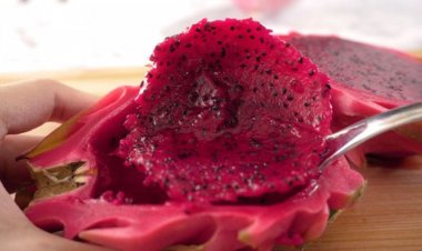 যে ৮ কারণে ত্বকের যত্নে ব্যবহার করবেন ড্রাগন ফল